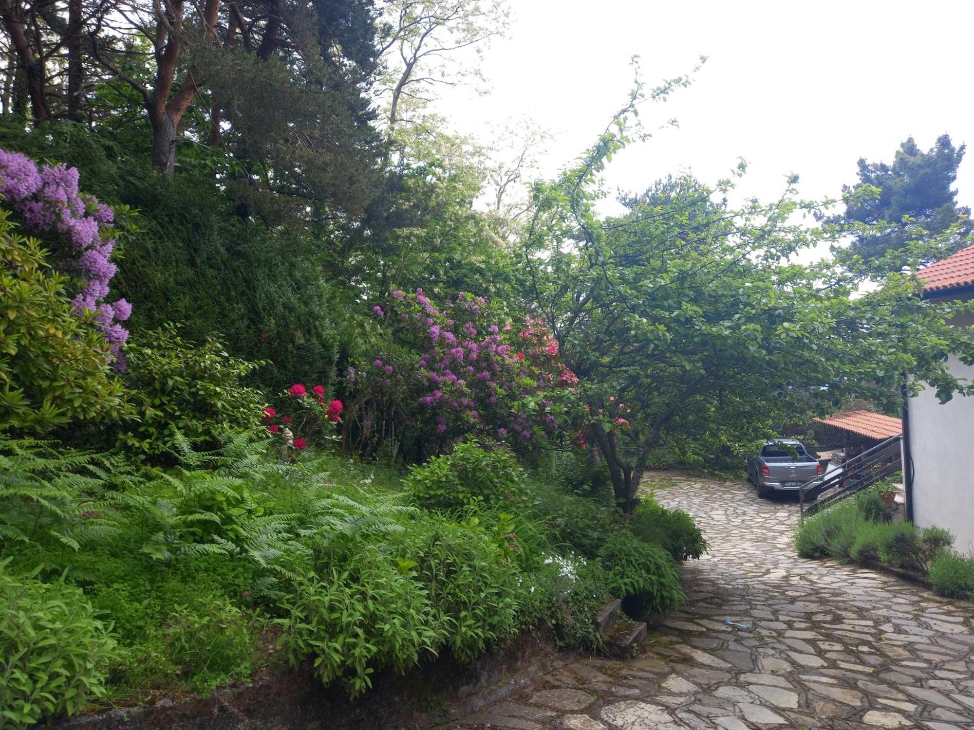 B&B Le Camelie Del Bosco Baiardo Exterior photo